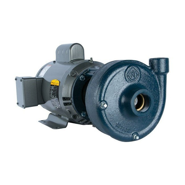 D Series End Suction Pump - Image 1