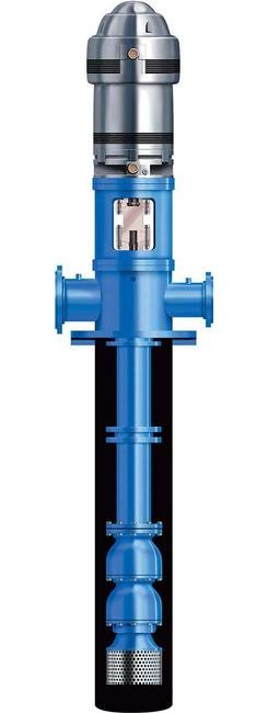 Goulds Submersible Pump with Suction Inlet - Image 1