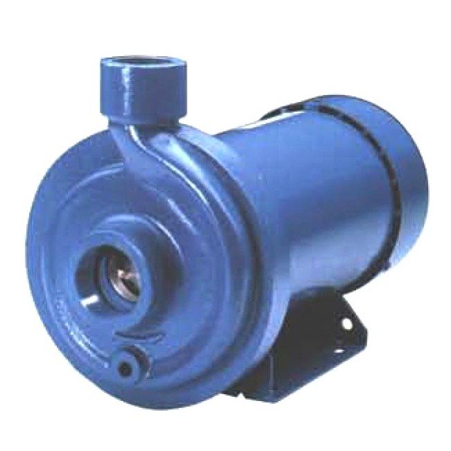 Goulds Cast Iron End Suction Pump - Image 1