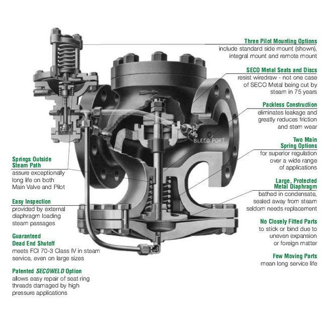 Iron Horse ED Series Pressure Regulator for Water, Steam, and Air Applications - Image 2