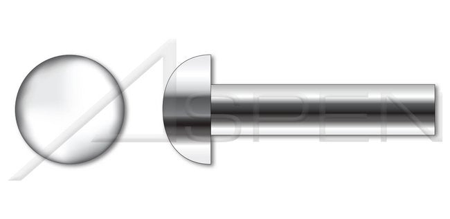 AISI 304 Stainless Steel (18-8) Round Head Solid Rivet - Image 1