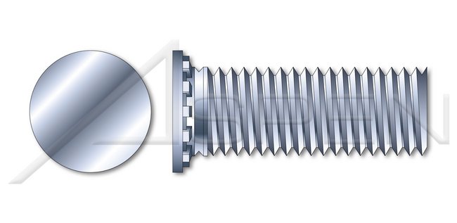 Steel Zinc Plated and Baked Metric Full Thread Flush Head Self-Clinching Studs - Image 1