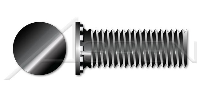 Steel Black Oxide Full Thread Flush Head Self-Clinching Studs - Image 1