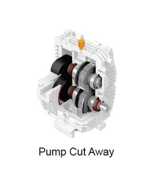 91 Inch (in) Height (C) Tank Mounted Duplex Rotary Claw Vacuum System - Image 3