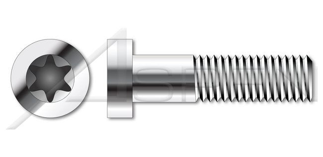 A2 Stainless Steel Low Head 6Lobe Torx® Socket Cap Screw - Image 1