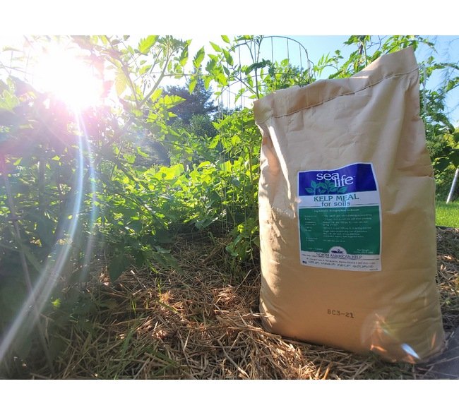 SeaLife™ Kelp Meal for Soil Enrichment - Image 3