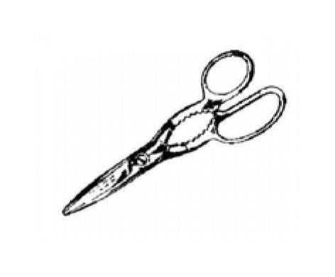 WKSR Stainless Steel Utility Shear - 8 in - Image 1