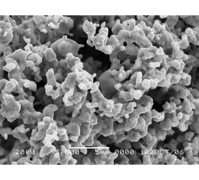 High-Purity Silver Powder D-0025 - Image 1