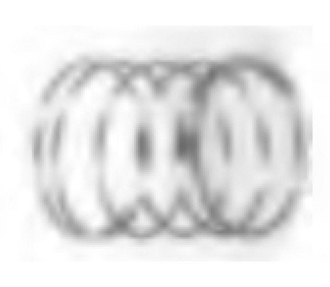 Diamond Needle Corp. 200205 Retainer Spring - Image 1