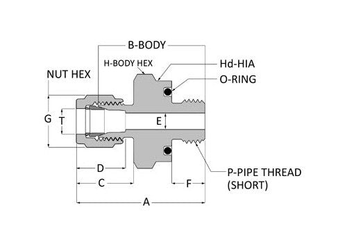 Alloy 400 O-Ring Seal Male Connector - Griplok Tube Fitting, 3/8 in - Image 2