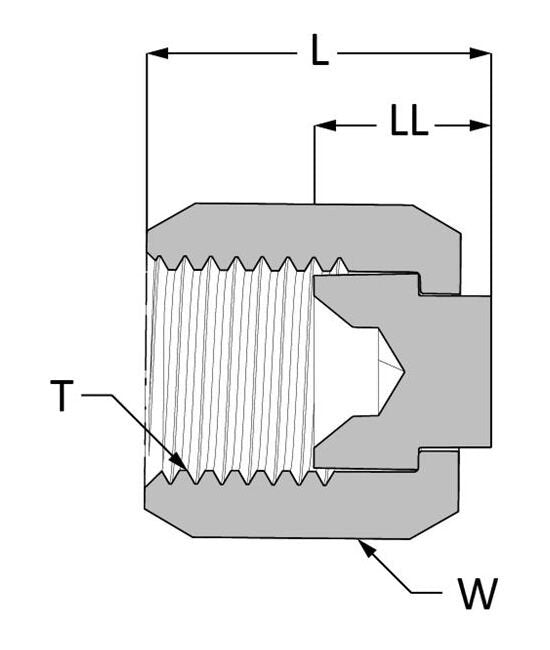 SAE 37° Flared Cap (2-piece) - 316 SS, 2 in Female - Image 2