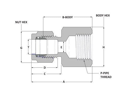 Alloy Steel Hex Socket Set Screw 1/2-13 x 1/2 - Half Dog Point - Plain - Image 2
