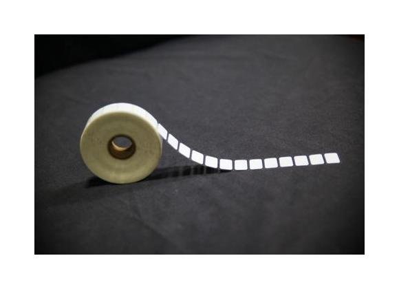 0.875 x 0.5625 Inch Size Clear Liner White Thermal Transfer Polyester Label - Image 1