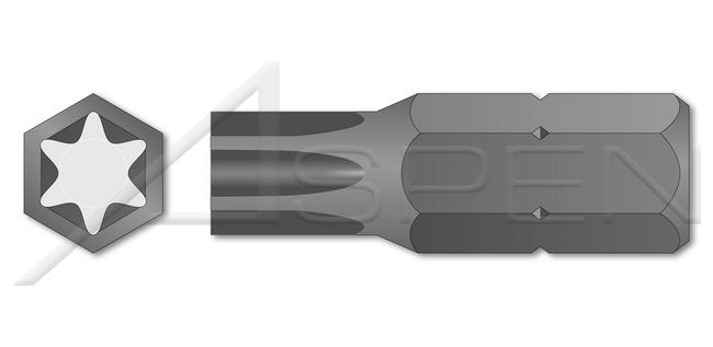 6 Lobe Torx® Generic Alternative Screwdriver Insert Bit - Image 1