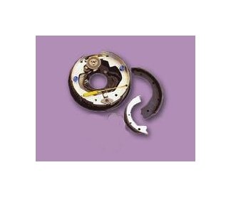 Dexter 12x2 LH Electric Brake Assembly - Image 1