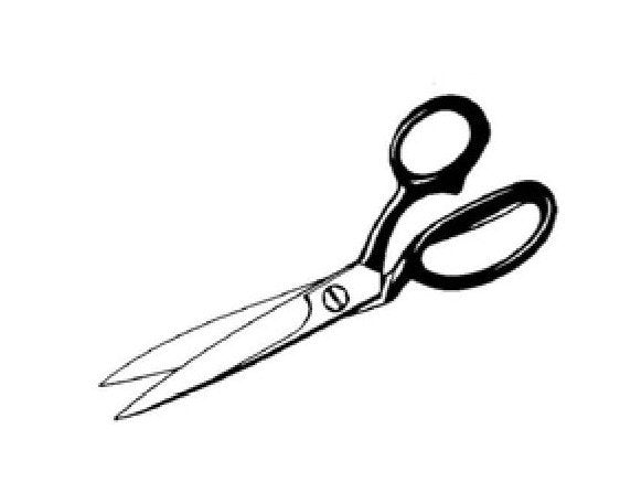 Diamond Needle Corp. W28 Industrial Bent Trimmer - Image 1