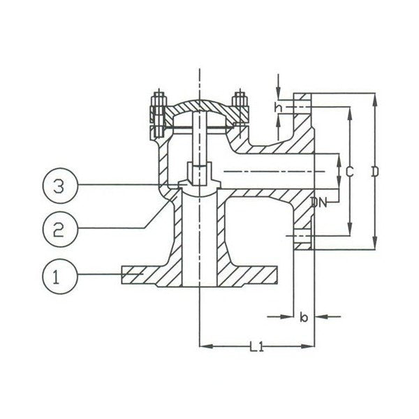 PN 16 Cast Iron Lift Check Angle Valve - DIN Valves - Image 1