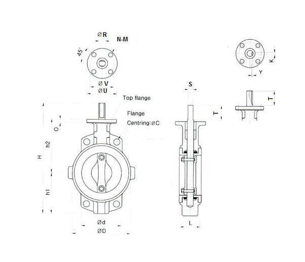 DIN PN16 Teflon Lined Valve Series 58 - 300-12" - Image 2