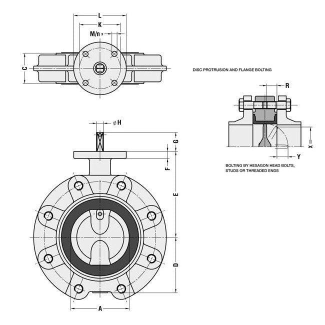 Ductile Iron Lug Butterfly Valve DN250 PN16 - Series EVTLS - Image 2