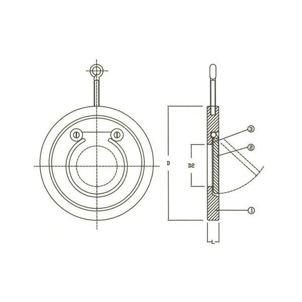 DIN PN16 Swing Check Valve, Stainless Steel, Wafer Style Short - Image 1