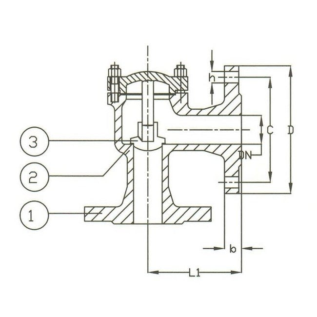 DIN PN 40 Cast Steel Angle Lift Check Valve - Image 2