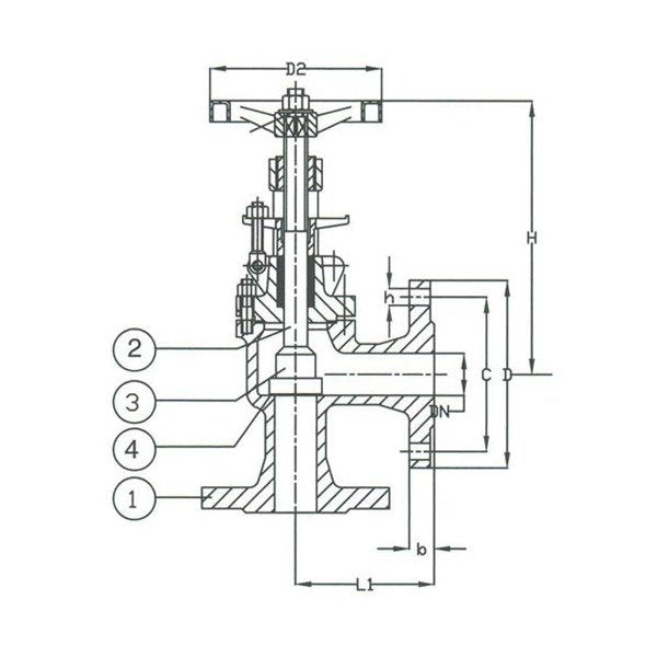 DIN Angle Valve PN40 Cast Steel Regular Valve 100 Size - Image 1