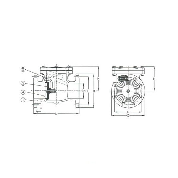 DIN Cast Iron Swing Check Valve - PN 16 - Image 1