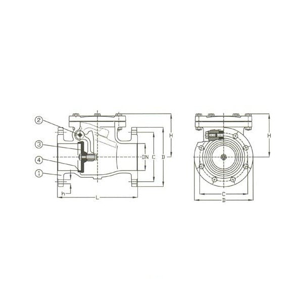 PN 16 Cast Steel Swing Check Valve - DIN 2501 PN16 - Image 1