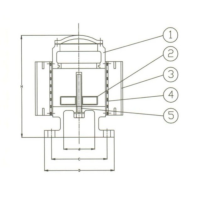 DIN PN10 Cast Iron Vent Check Valve, 200mm Size - Image 2