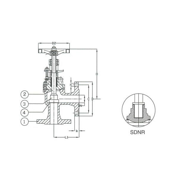 DIN PN 40 Cast Steel Angle SDNR Valve - Size 015 - Image 1