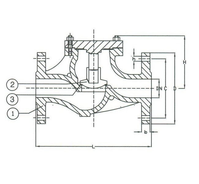 PN 16 Cast Iron Lift Check Globe Pattern Valve - DIN Check Valve - Image 2