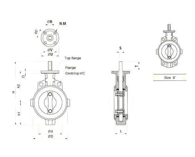 DIN PN16 Teflon Lined Butterfly Valve - Series 58 - Image 2