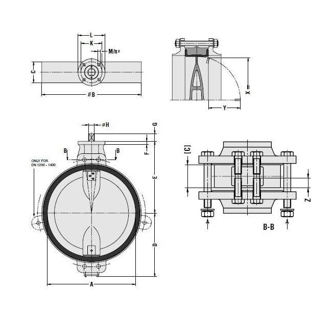 Wouter Witzel Eurovalve Series EVS Wafer Short Valve - Image 2