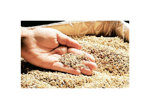 Industrial Grade Vermiculite Sorbent - Image 2