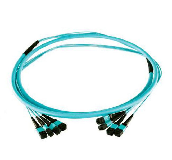 Xtreme8™ and Xtreme12™ Multi-Fiber Termination Push-On (MTP®) Trunk Cables - Image 1