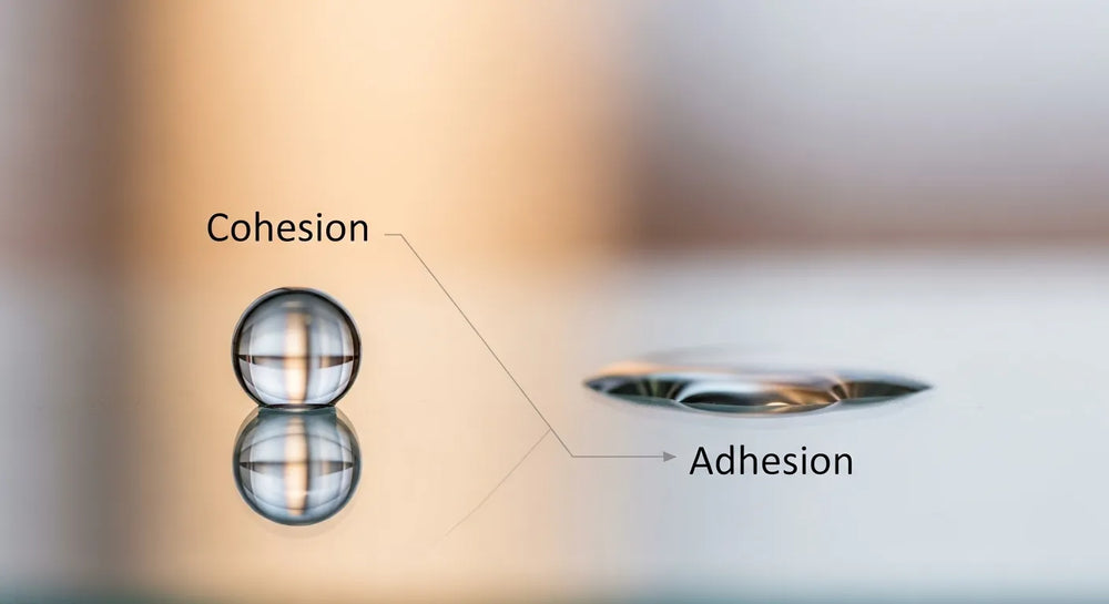 Cohesion vs. Adhesion: What's the Key Difference?