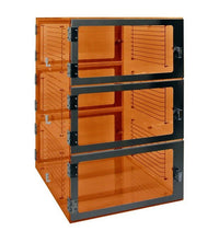 Amber Acrylic Three Chamber Pass-Through Desiccator Cabinet - 1540 Series