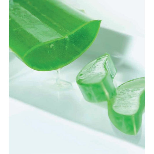 Premium Aloe Vera Extract - Image 1