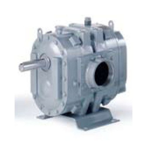 DuroFlow® 45 Series Industrial Positive Displacement Blower with Vacuum Pump - Image 1