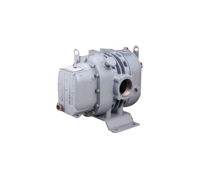 DuroFlow® Industrial 30 Series Model 3004 Blower with Vacuum Pump - Image 4