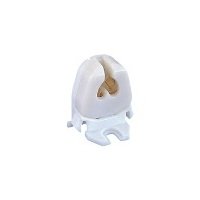 Energy Star T5 Fluorescent Lampholders - Image 1
