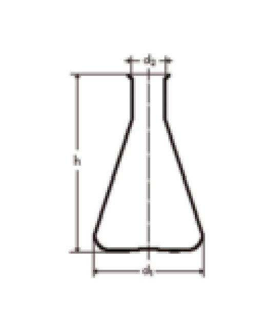 Durable Borosilicate Glass Erlenmeyer Flask - 3000 mL - Image 1