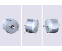 Placid Industries 7W Hysteresis Particle Brake