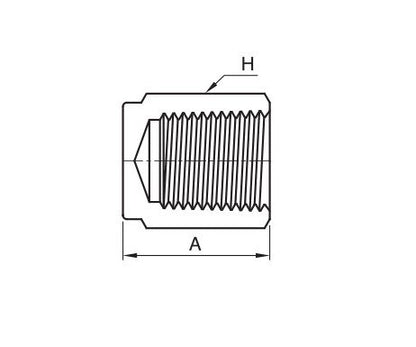 IPC Series 1" NPT Pipe Cap Fitting - Stainless Steel/Brass/Carbon Steel - Image 2