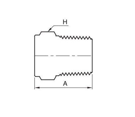 IPP Series 1 Inch NPT Pipe Plug - Image 2