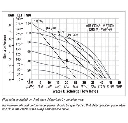 1" Stainless Steel Pwr-Floâ¢ AODD Pump with VitonÂ® Diaphragm - Image 2