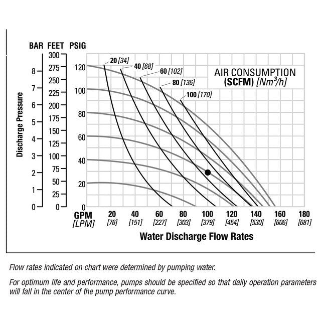 2" BSP PWR-FLO™ AODD Pump, Ductile Iron with Buna-N/Nitrile Diaphragm - Image 2
