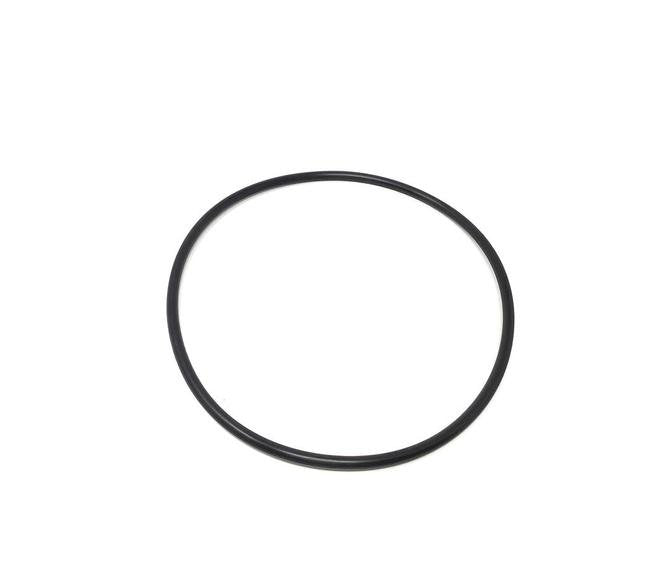 Springer Parts® O-Ring 5541679 for WCB Ice Cream Pump, Replacement Part - Image 1