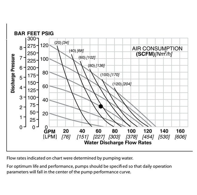NOMAD® 2" BSP Clamped Stainless Steel AODD Pump with PTFE Diaphragms - Image 2