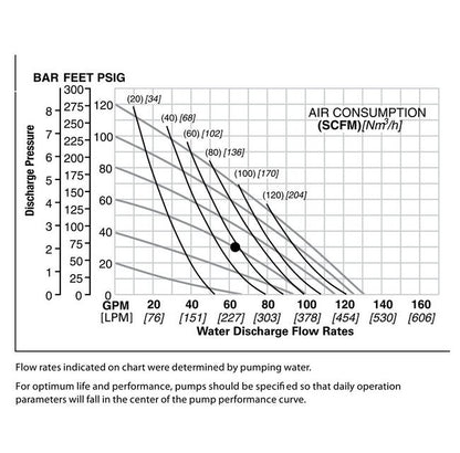 NOMAD® 2" BSP Clamped Stainless Steel AODD Pump with PTFE Diaphragms - Image 2